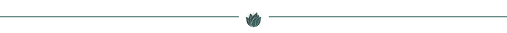 divider_teal