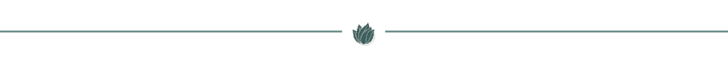 divider_teal_shadow