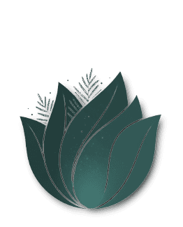 Deeper Living Adventures lotus mark — teal with shadow